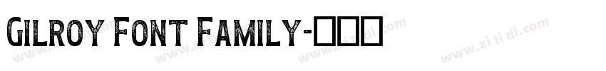 Gilroy Font Family字体转换